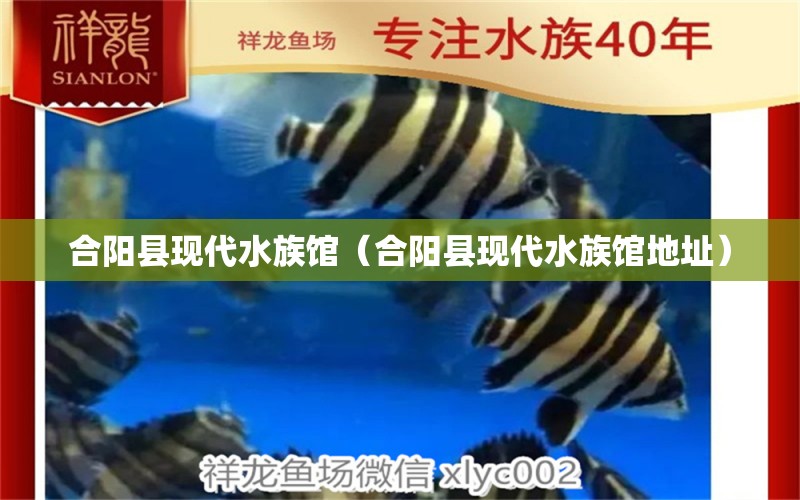 合陽(yáng)縣現(xiàn)代水族館（合陽(yáng)縣現(xiàn)代水族館地址）