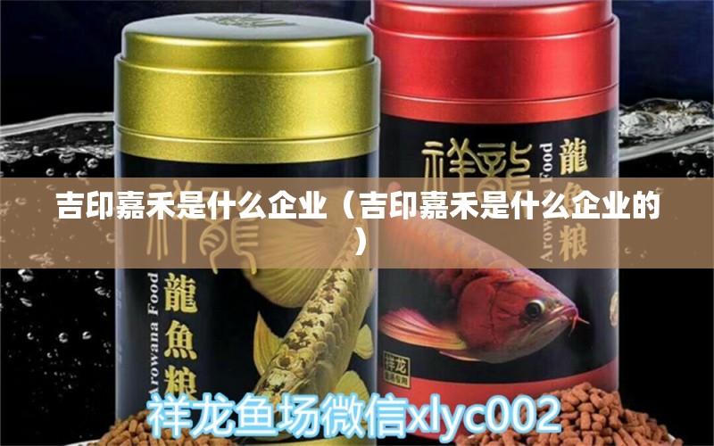 吉印嘉禾是什么企業(yè)（吉印嘉禾是什么企業(yè)的）