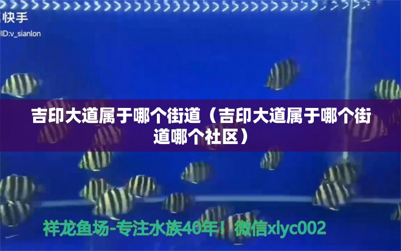 吉印大道屬于哪個(gè)街道（吉印大道屬于哪個(gè)街道哪個(gè)社區(qū)）