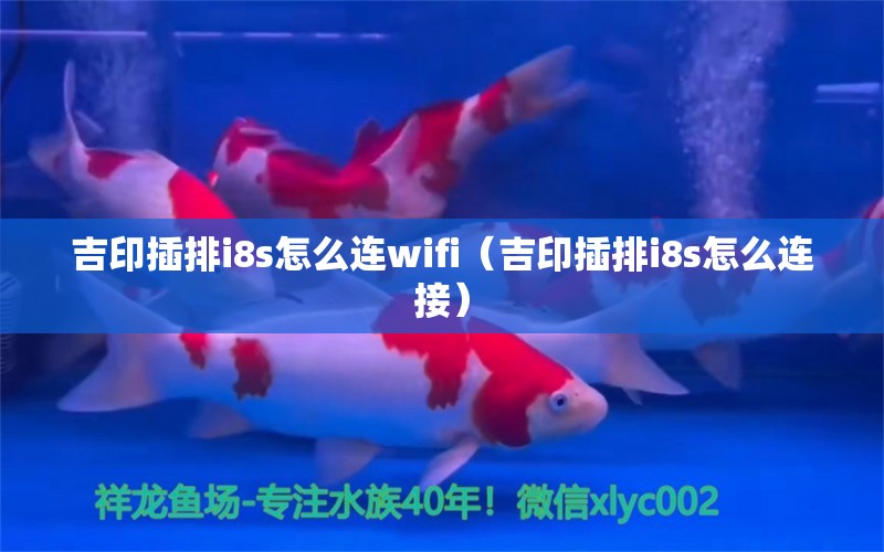 吉印插排i8s怎么連wifi（吉印插排i8s怎么連接）