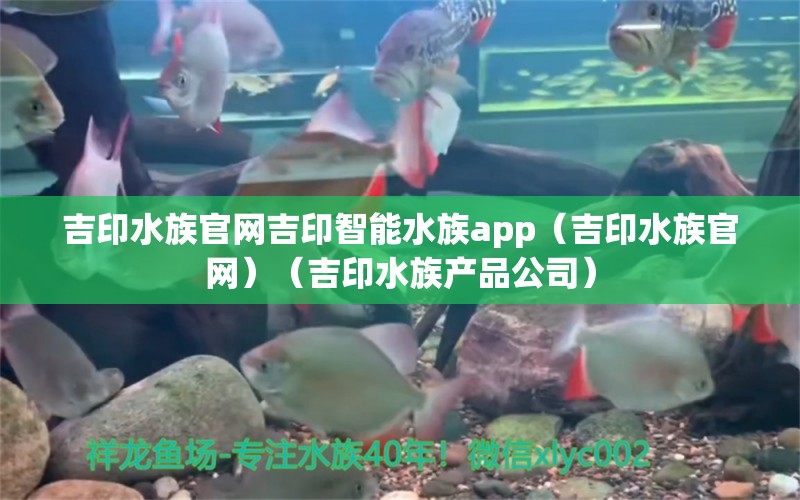 吉印水族官網(wǎng)吉印智能水族app（吉印水族官網(wǎng)）（吉印水族產(chǎn)品公司）