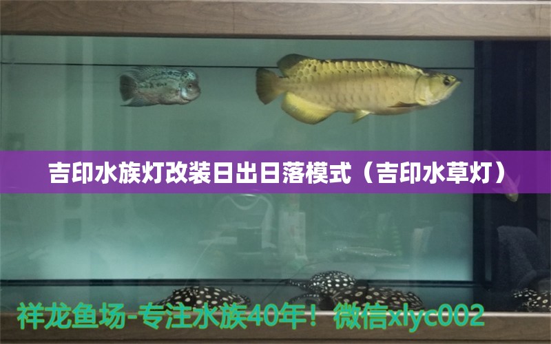 吉印水族燈改裝日出日落模式（吉印水草燈）