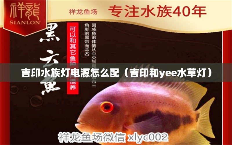 吉印水族燈電源怎么配（吉印和yee水草燈）