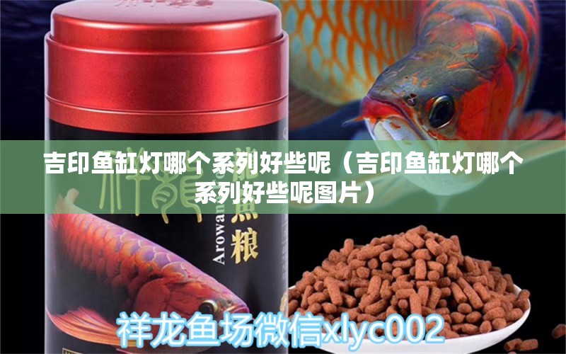 吉印魚(yú)缸燈哪個(gè)系列好些呢（吉印魚(yú)缸燈哪個(gè)系列好些呢圖片）