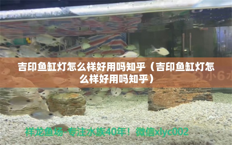 吉印魚缸燈怎么樣好用嗎知乎（吉印魚缸燈怎么樣好用嗎知乎）