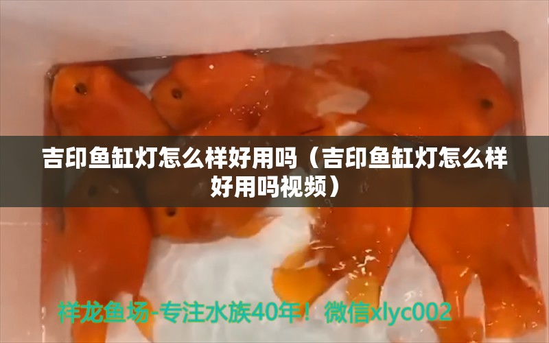 吉印魚(yú)缸燈怎么樣好用嗎（吉印魚(yú)缸燈怎么樣好用嗎視頻） 吉印水族