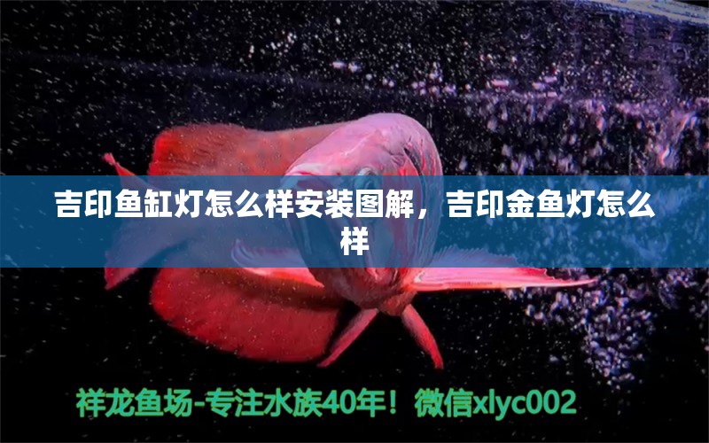 吉印魚(yú)缸燈怎么樣安裝圖解，吉印金魚(yú)燈怎么樣 吉印水族