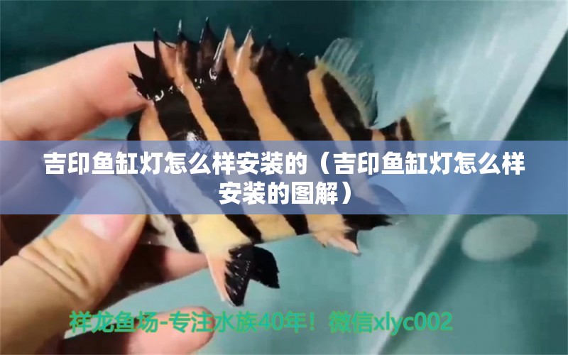 吉印魚(yú)缸燈怎么樣安裝的（吉印魚(yú)缸燈怎么樣安裝的圖解）