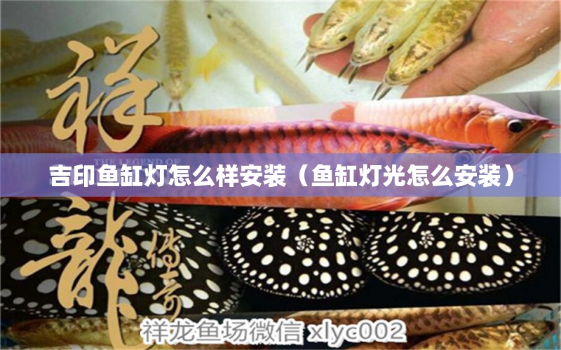 吉印魚缸燈怎么樣安裝（魚缸燈光怎么安裝）