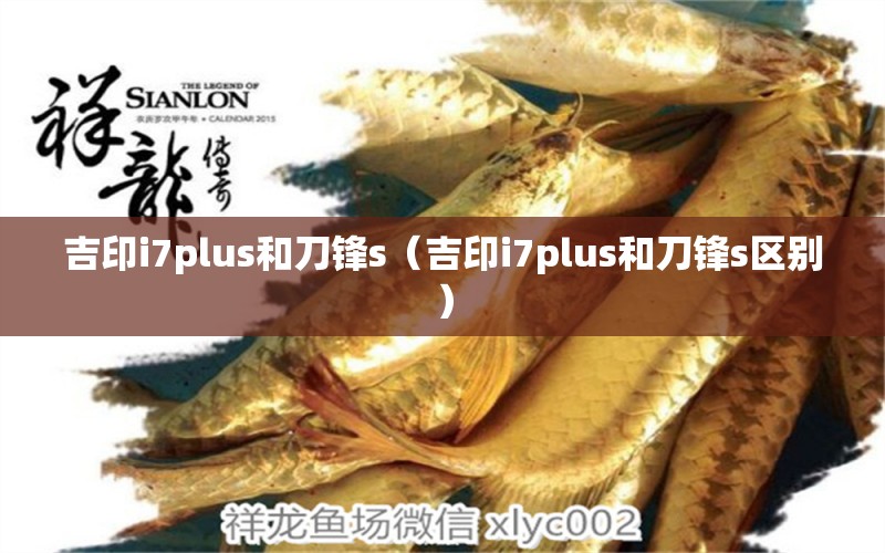 吉印i7plus和刀鋒s（吉印i7plus和刀鋒s區(qū)別）