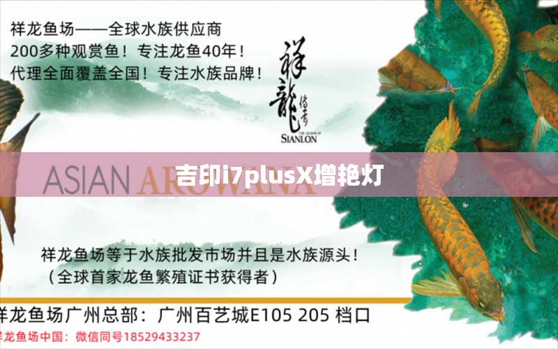 吉印i7plusX增艷燈