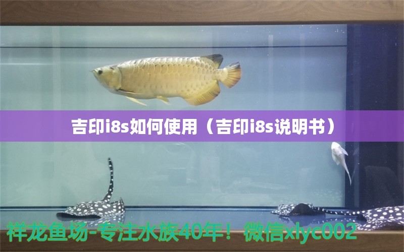 吉印i8s如何使用（吉印i8s說明書） 吉印水族