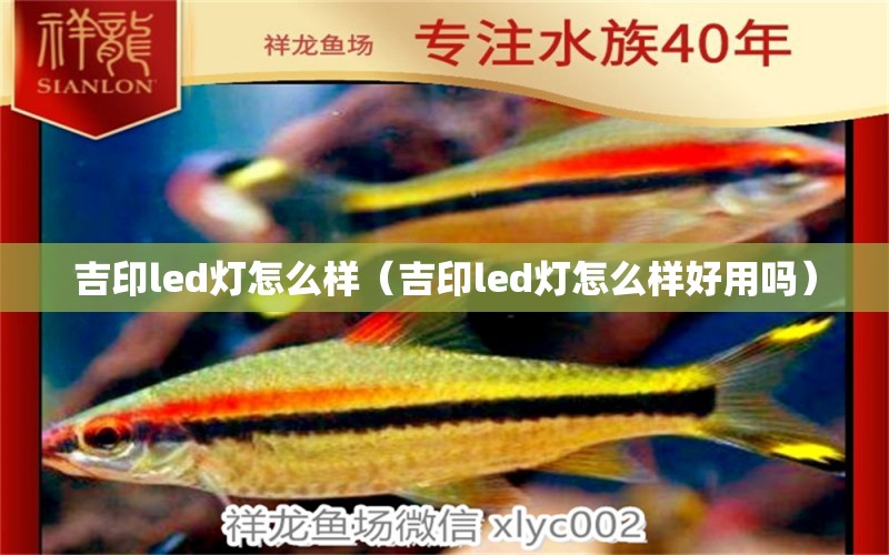 吉印led燈怎么樣（吉印led燈怎么樣好用嗎）