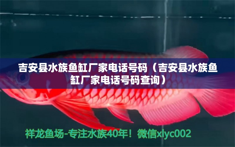 吉安縣水族魚缸廠家電話號(hào)碼（吉安縣水族魚缸廠家電話號(hào)碼查詢） 觀賞魚市場(chǎng)（混養(yǎng)魚）