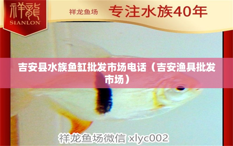 吉安縣水族魚缸批發(fā)市場電話（吉安漁具批發(fā)市場）