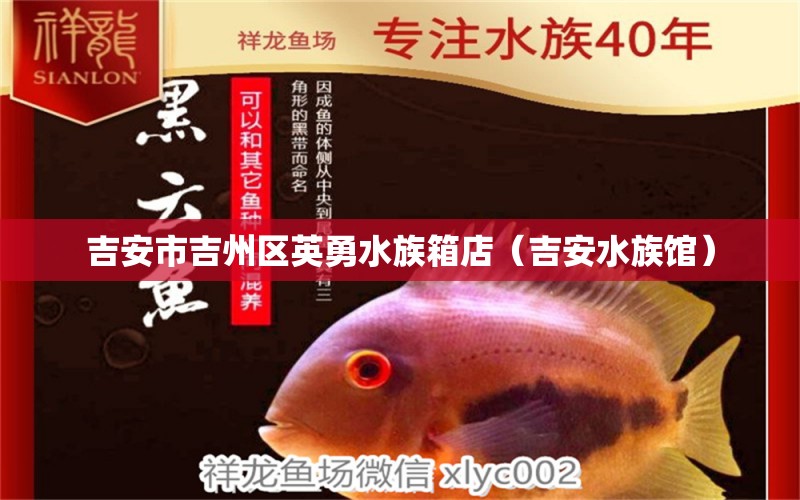 吉安市吉州區(qū)英勇水族箱店（吉安水族館）