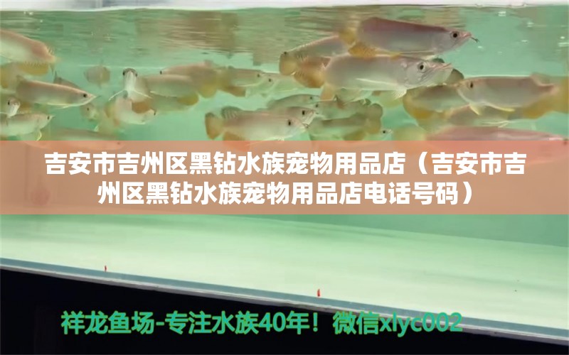 吉安市吉州區(qū)黑鉆水族寵物用品店（吉安市吉州區(qū)黑鉆水族寵物用品店電話號碼）