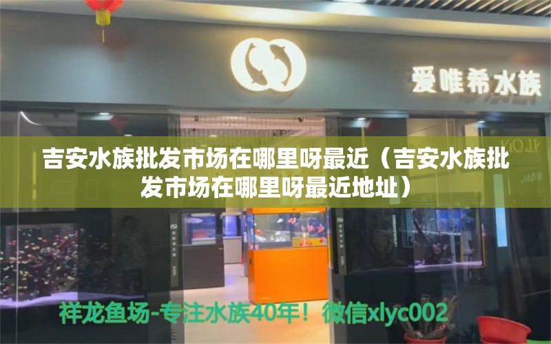 吉安水族批發(fā)市場在哪里呀最近（吉安水族批發(fā)市場在哪里呀最近地址）