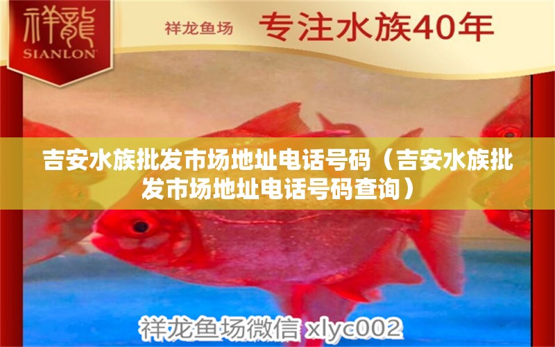 吉安水族批發(fā)市場(chǎng)地址電話號(hào)碼（吉安水族批發(fā)市場(chǎng)地址電話號(hào)碼查詢(xún)）