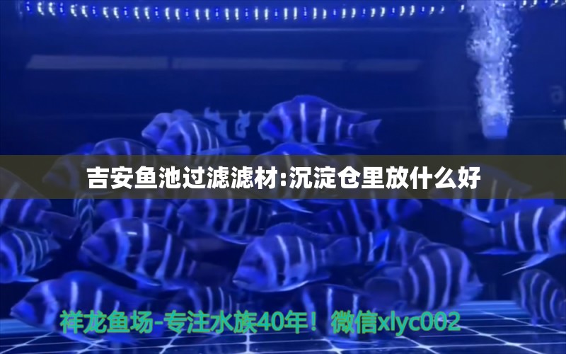 吉安魚池過濾濾材:沉淀倉里放什么好 廣州水族器材濾材批發(fā)市場(chǎng)