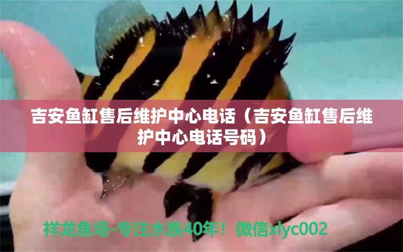 吉安魚缸售后維護(hù)中心電話（吉安魚缸售后維護(hù)中心電話號(hào)碼） 其他品牌魚缸