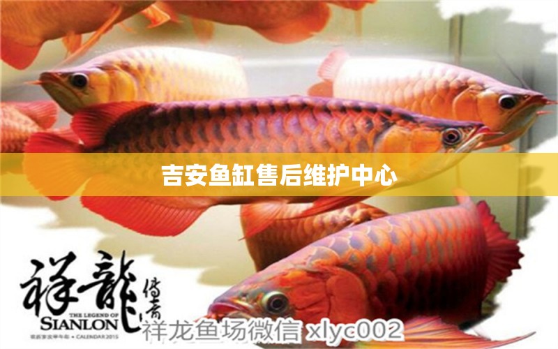 吉安魚缸售后維護(hù)中心