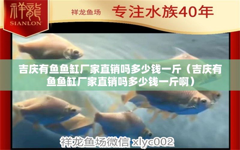 吉慶有魚(yú)魚(yú)缸廠家直銷(xiāo)嗎多少錢(qián)一斤（吉慶有魚(yú)魚(yú)缸廠家直銷(xiāo)嗎多少錢(qián)一斤?。? title=