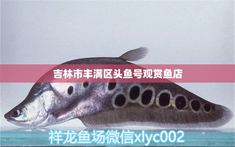 吉林市豐滿區(qū)頭魚號觀賞魚店 全國水族館企業(yè)名錄