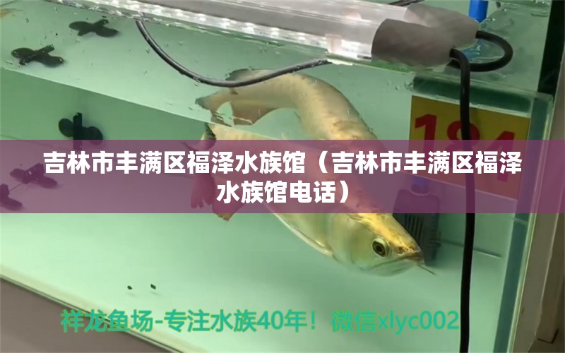 吉林市豐滿區(qū)福澤水族館（吉林市豐滿區(qū)福澤水族館電話）