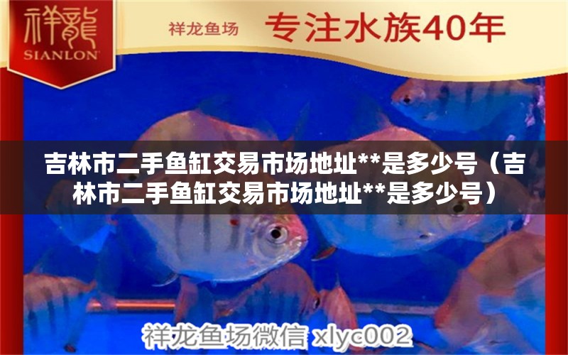 吉林市二手魚缸交易市場地址**是多少號（吉林市二手魚缸交易市場地址**是多少號）