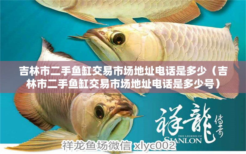 吉林市二手魚缸交易市場地址電話是多少（吉林市二手魚缸交易市場地址電話是多少號）