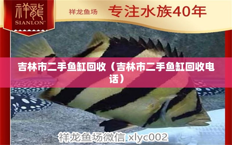 吉林市二手魚缸回收（吉林市二手魚缸回收電話） 祥龍水族醫(yī)院