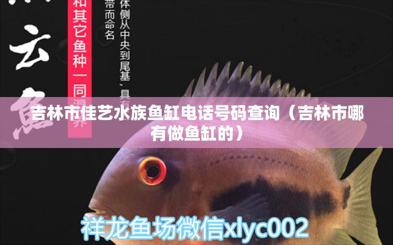 吉林市佳藝水族魚(yú)缸電話(huà)號(hào)碼查詢(xún)（吉林市哪有做魚(yú)缸的）