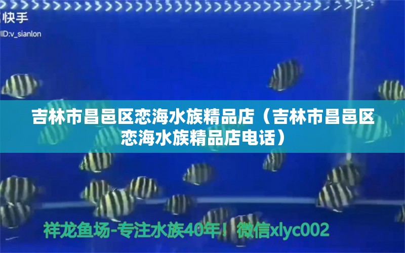 吉林市昌邑區(qū)戀海水族精品店（吉林市昌邑區(qū)戀海水族精品店電話）