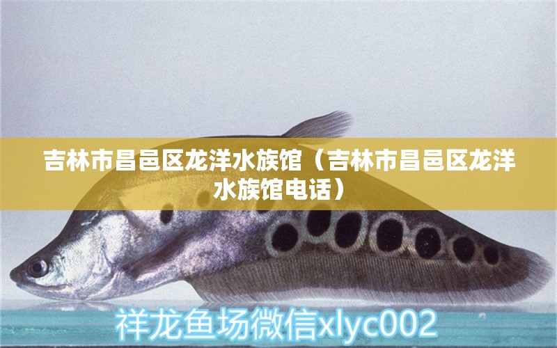 吉林市昌邑區(qū)龍洋水族館（吉林市昌邑區(qū)龍洋水族館電話）