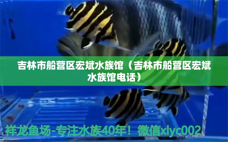 吉林市船營區(qū)宏斌水族館（吉林市船營區(qū)宏斌水族館電話）