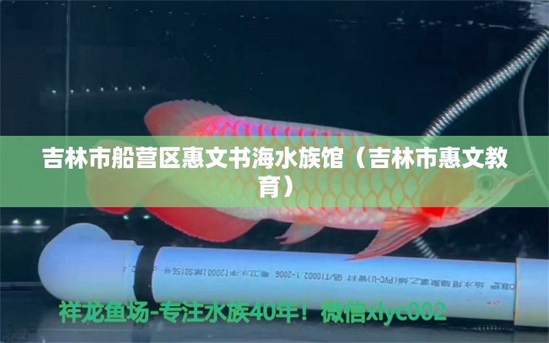 吉林市船營區(qū)惠文書海水族館（吉林市惠文教育）