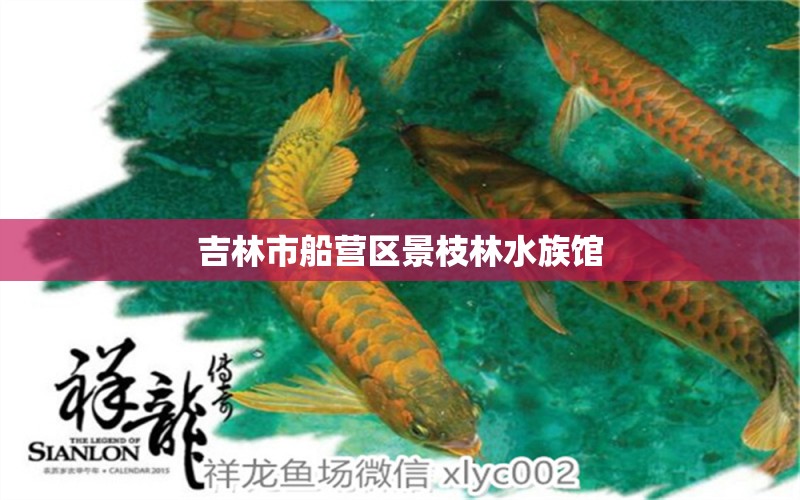 吉林市船營區(qū)景枝林水族館