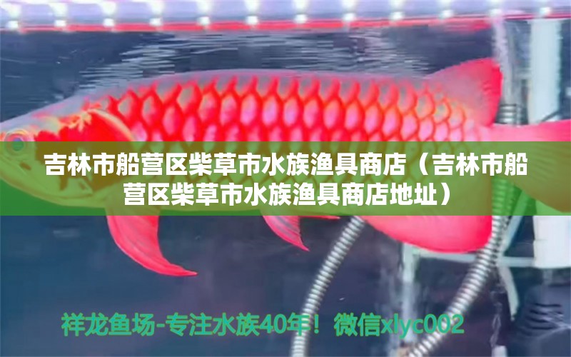 吉林市船營(yíng)區(qū)柴草市水族漁具商店（吉林市船營(yíng)區(qū)柴草市水族漁具商店地址） 全國(guó)水族館企業(yè)名錄