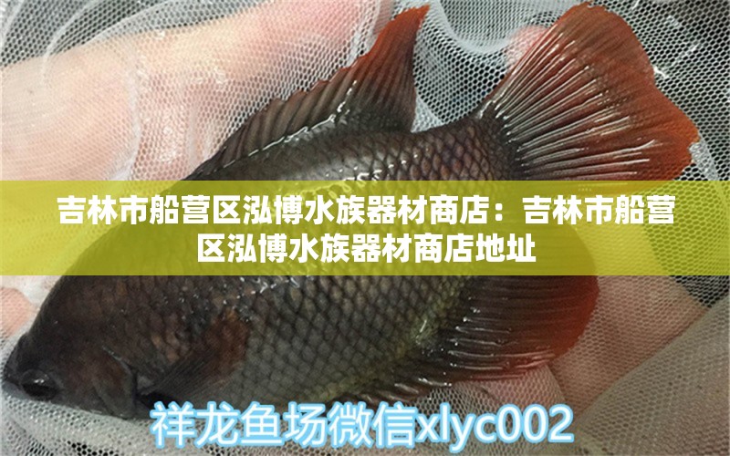 吉林市船營(yíng)區(qū)泓博水族器材商店：吉林市船營(yíng)區(qū)泓博水族器材商店地址