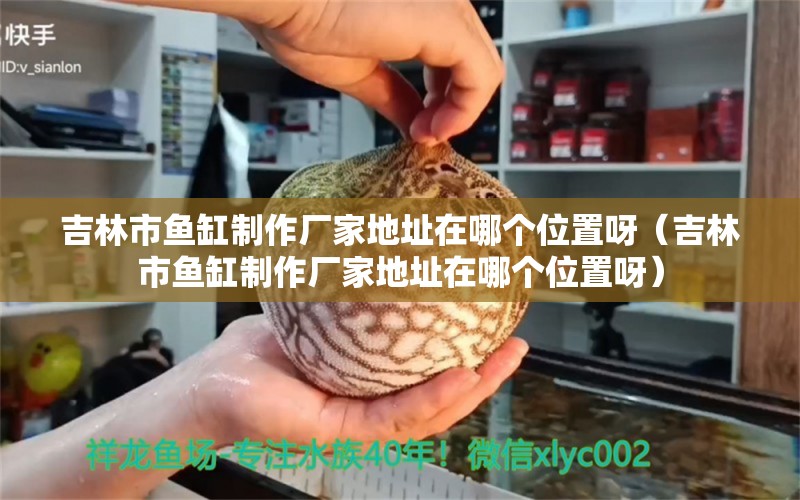 吉林市魚缸制作廠家地址在哪個(gè)位置呀（吉林市魚缸制作廠家地址在哪個(gè)位置呀）