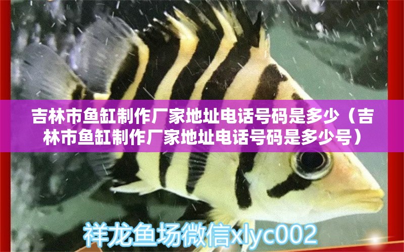 吉林市魚缸制作廠家地址電話號碼是多少（吉林市魚缸制作廠家地址電話號碼是多少號） 伊巴卡魚