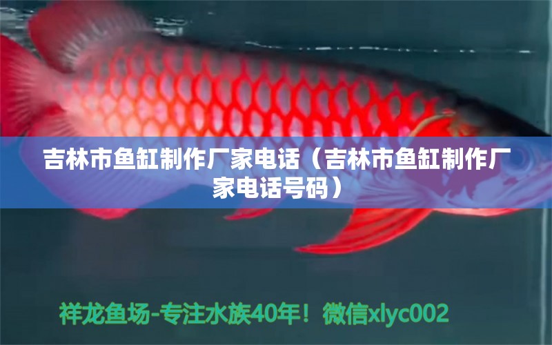 吉林市魚缸制作廠家電話（吉林市魚缸制作廠家電話號碼） 其他品牌魚缸