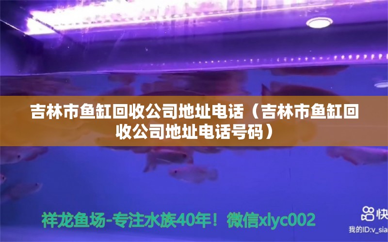 吉林市魚缸回收公司地址電話（吉林市魚缸回收公司地址電話號碼） 其他益生菌