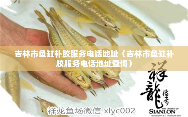 吉林市魚(yú)缸補(bǔ)膠服務(wù)電話(huà)地址（吉林市魚(yú)缸補(bǔ)膠服務(wù)電話(huà)地址查詢(xún)）