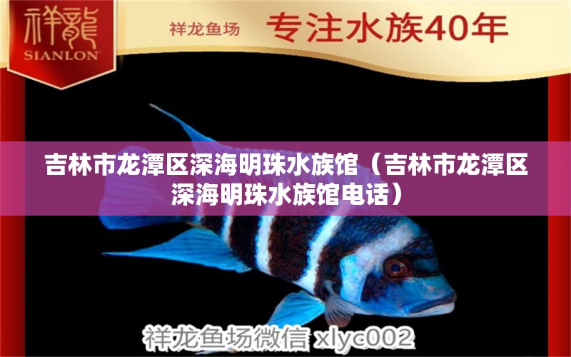 吉林市龍?zhí)秴^(qū)深海明珠水族館（吉林市龍?zhí)秴^(qū)深海明珠水族館電話） 全國水族館企業(yè)名錄