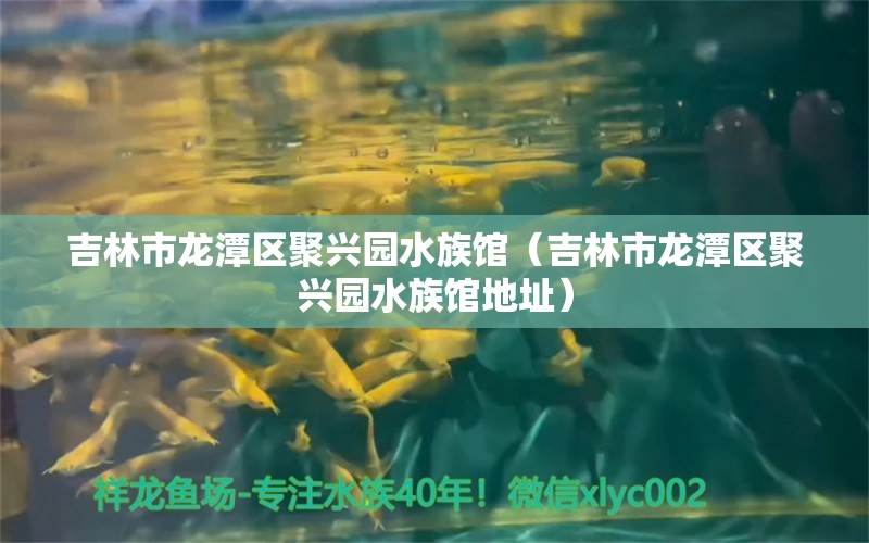 吉林市龍?zhí)秴^(qū)聚興園水族館（吉林市龍?zhí)秴^(qū)聚興園水族館地址）