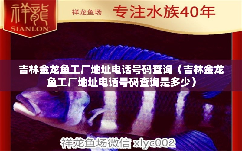 吉林金龍魚工廠地址電話號碼查詢（吉林金龍魚工廠地址電話號碼查詢是多少） 雪龍魚