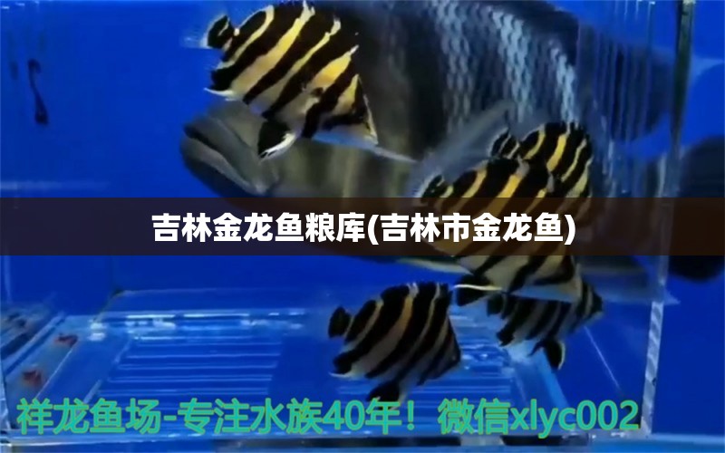 吉林金龍魚糧庫(吉林市金龍魚) 金龍魚糧