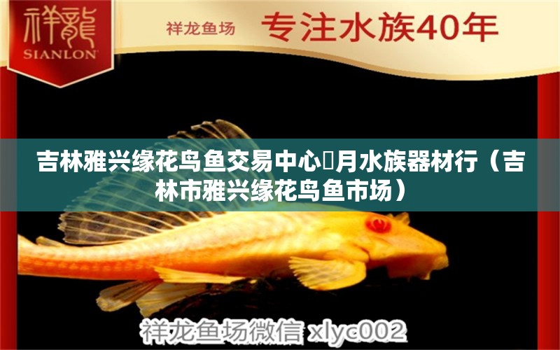 吉林雅興緣花鳥(niǎo)魚(yú)交易中心鐘月水族器材行（吉林市雅興緣花鳥(niǎo)魚(yú)市場(chǎng)）